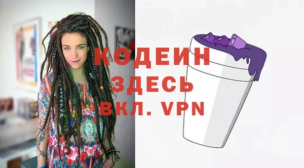 шишки Горняк