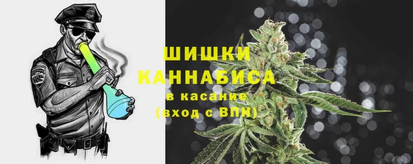 индика Горнозаводск