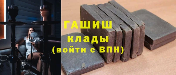 индика Горнозаводск