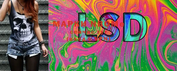 шишки Горняк