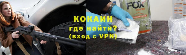 индика Горнозаводск