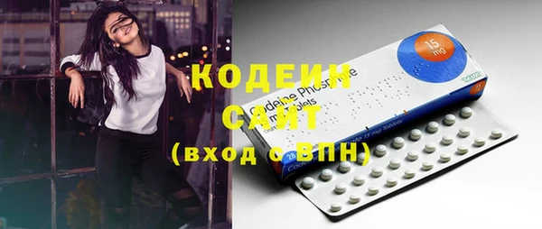 шишки Горняк