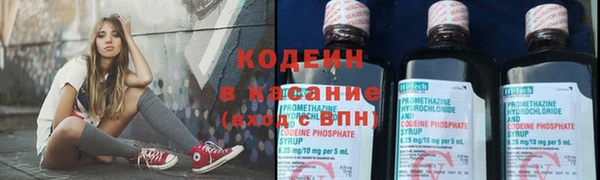 шишки Горняк