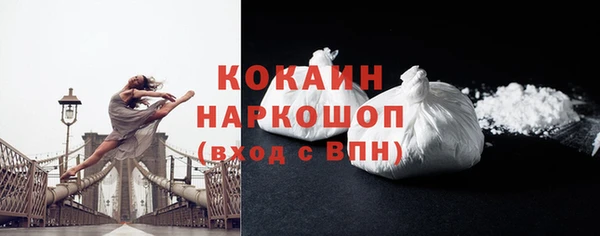 индика Горнозаводск
