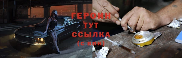 шишки Горняк