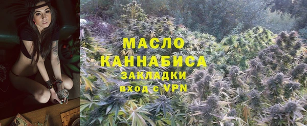 индика Горнозаводск