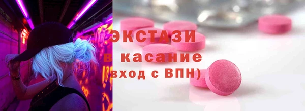 индика Горнозаводск