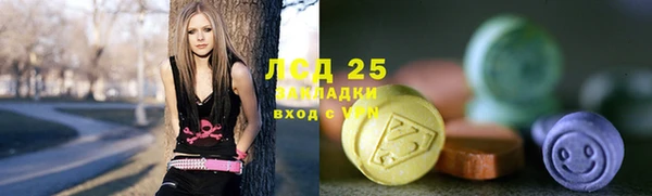 шишки Горняк