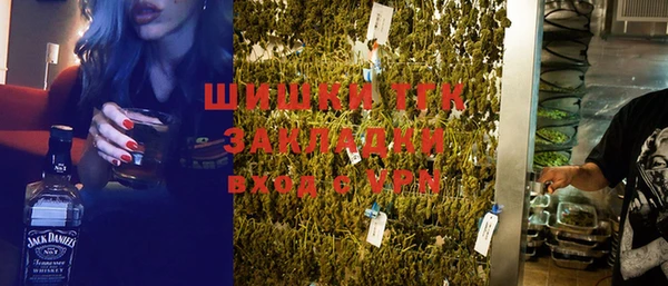 шишки Горняк