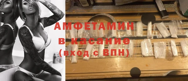 индика Горнозаводск