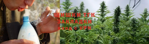 шишки Горняк