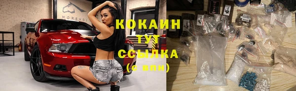 индика Горнозаводск