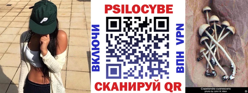 даркнет сайт  Армавир  Псилоцибиновые грибы мицелий 
